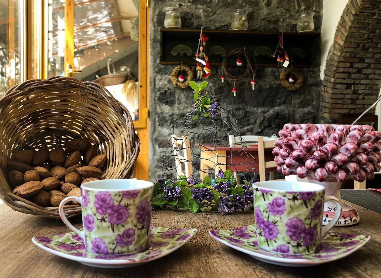 B&B Polifemo Etna Nicolosi 2*,
