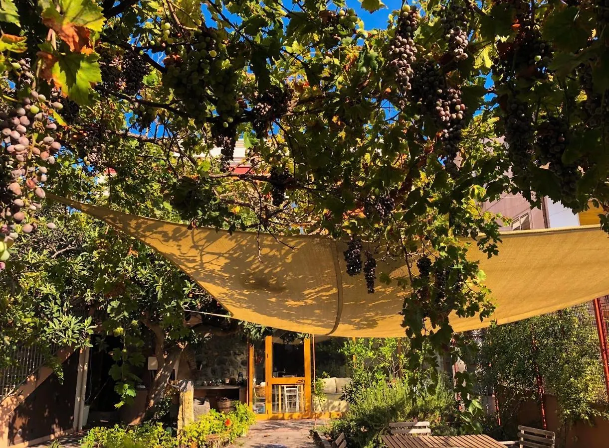 B&B Polifemo Etna Nicolosi Bed & Breakfast