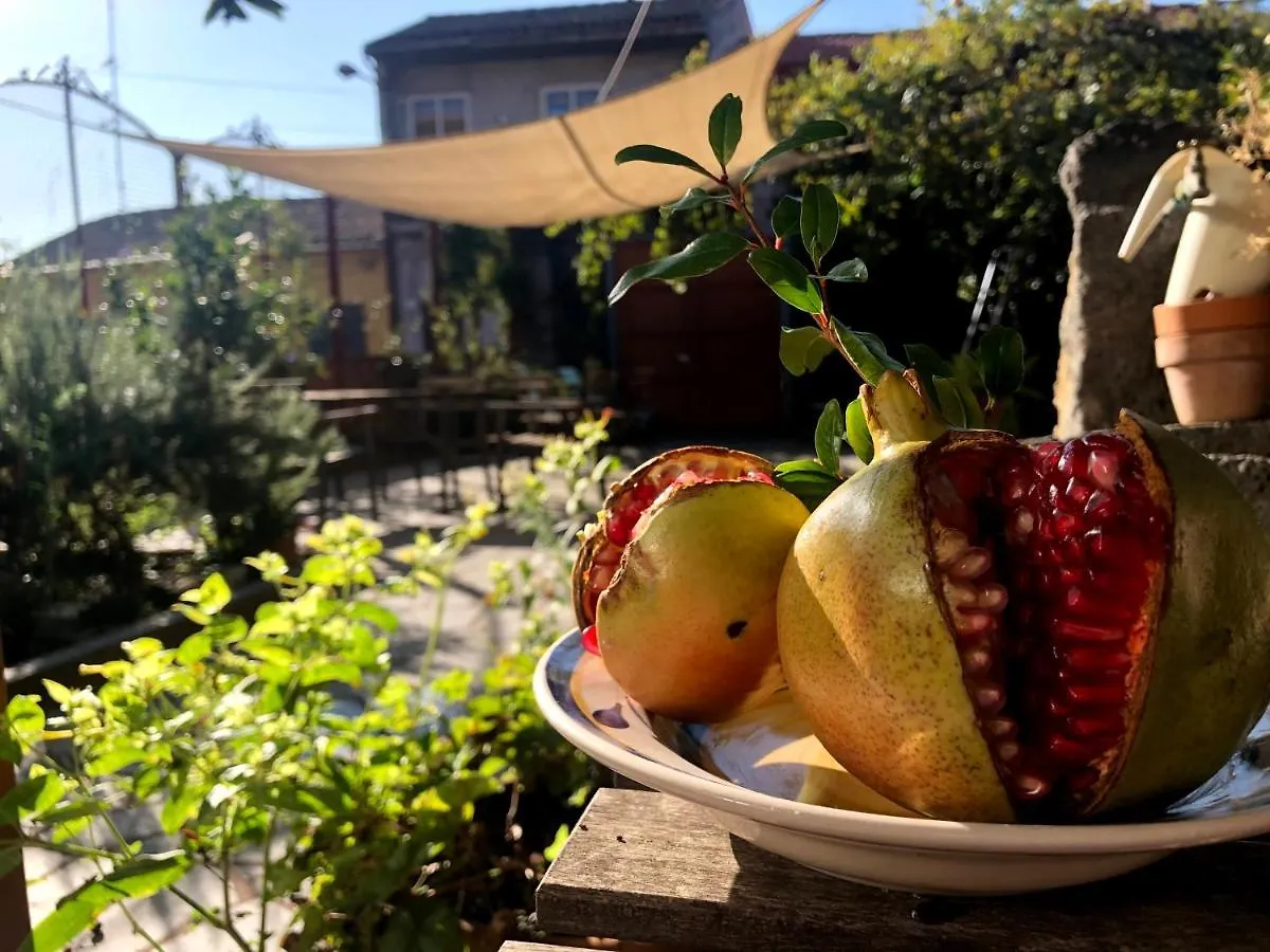Bed & Breakfast B&B Polifemo Etna Nicolosi